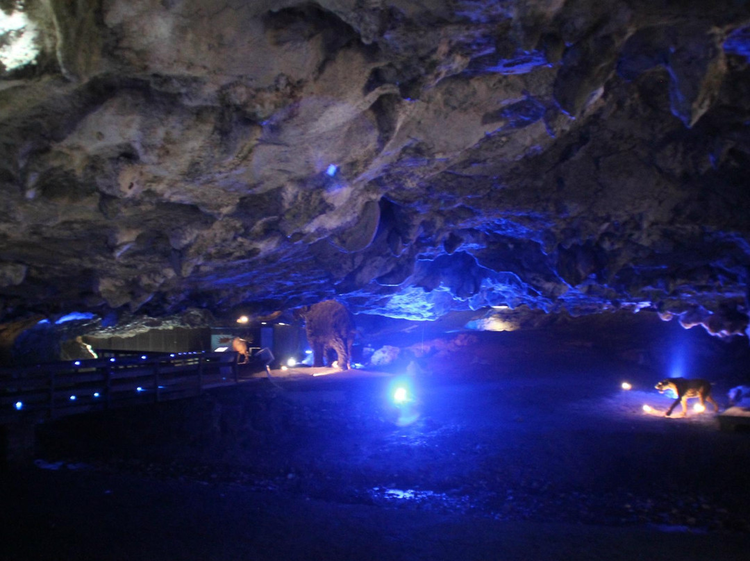 Cueva de La Peruyal-Avin必去景点