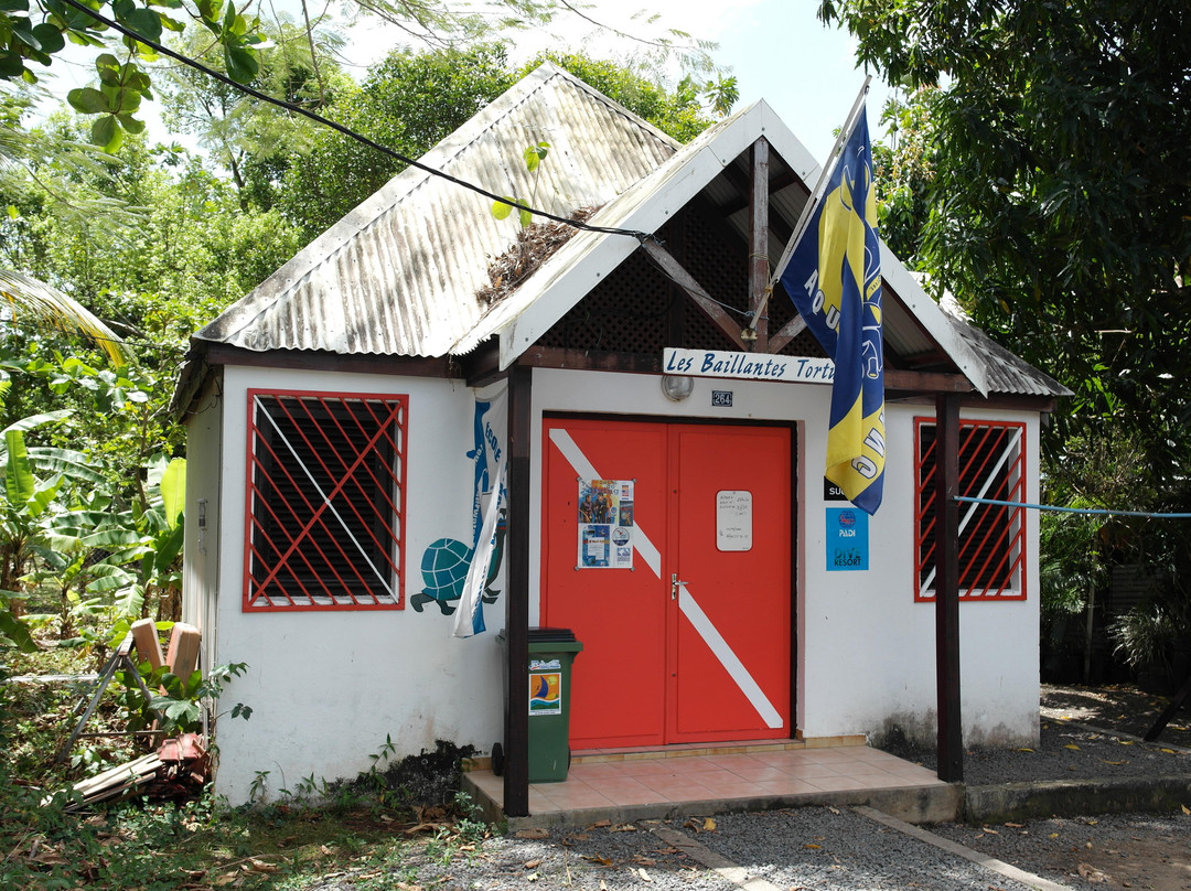 Les Baillantes Tortues-Pointe-Noire必去景点