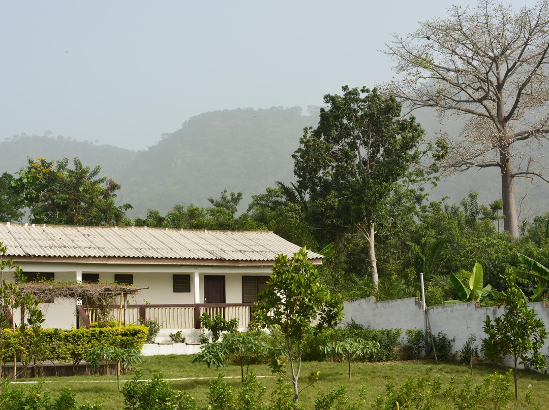 Chez Felicia