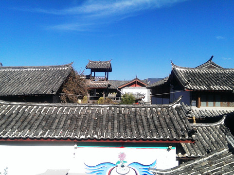 屋顶上的瓦猫小栈主图