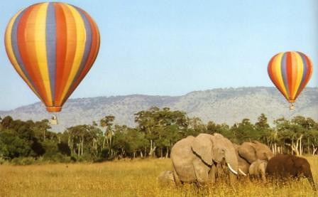 Right Choice Tours & Safaris-内罗毕必去景点