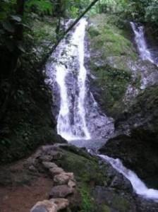 Cataratas y Senderos Avellan景点图片