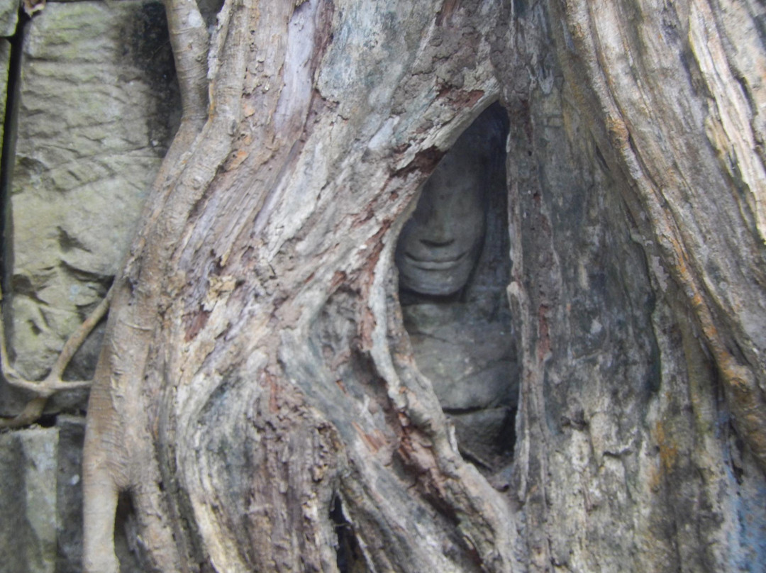 Premier Angkor Tours-暹粒必去景点