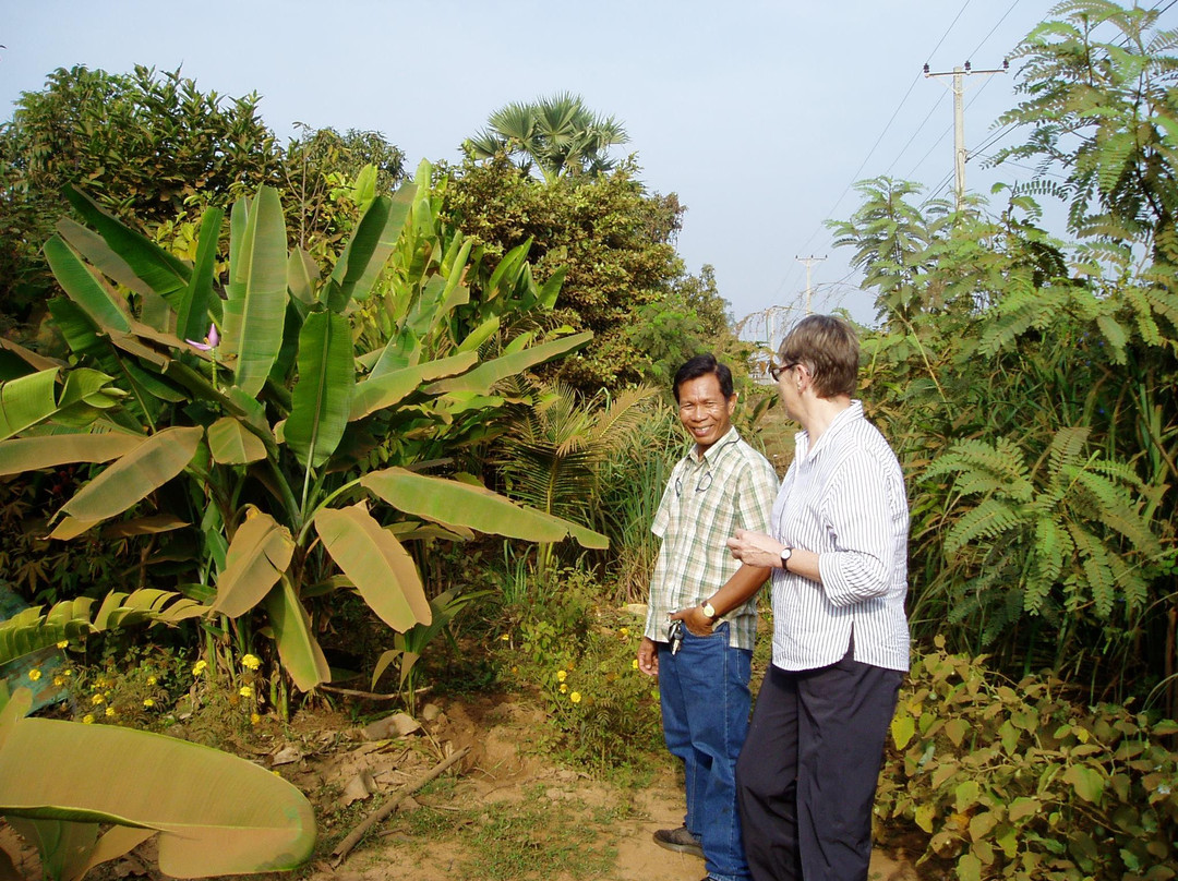 Cambodia Uncovered - Day Tours-金边必去景点