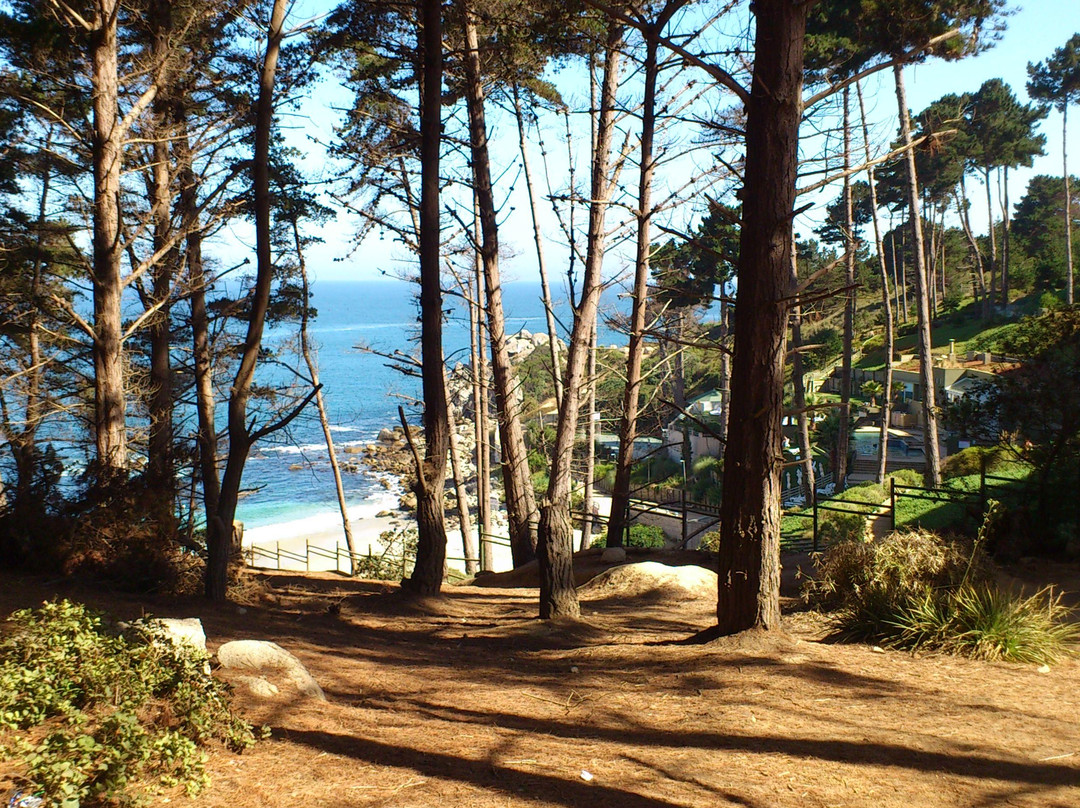 Playa Canelo-瓦尔帕莱索必去景点