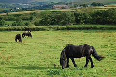 Peers Clough Farm主图