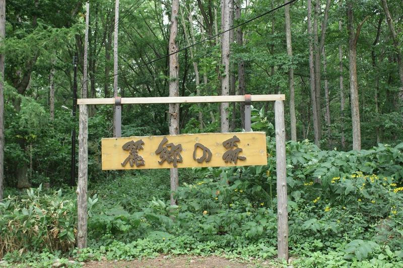 麓乡之森-富良野市必去景点