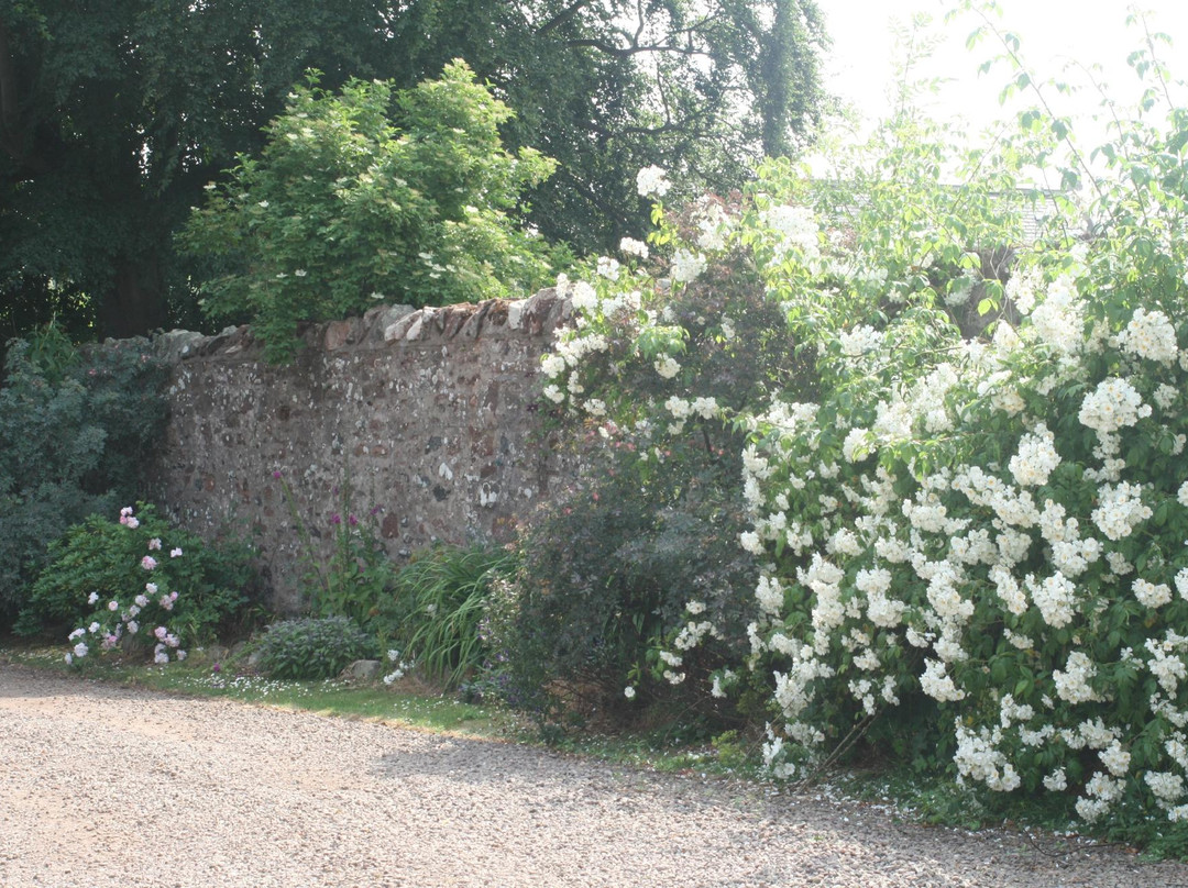 Mansefield B&B主图