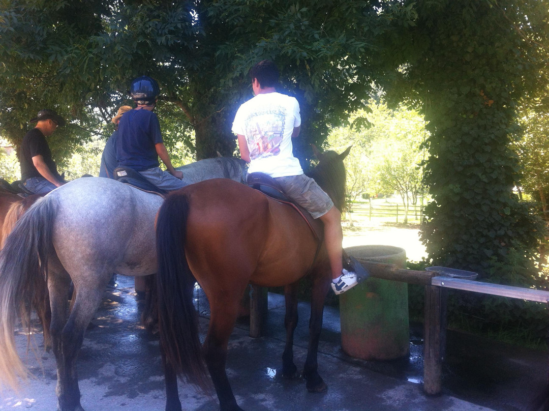 Rutas a Caballo El Dorado景点图片