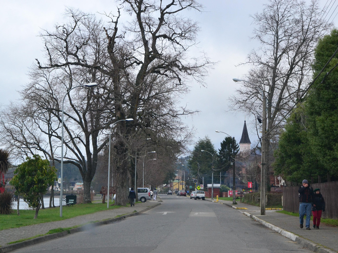Lago Llanquihue-巴拉斯港必去景点