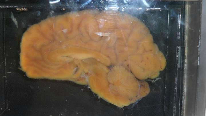 巴塞罗那科学博物馆-巴塞罗那必去景点