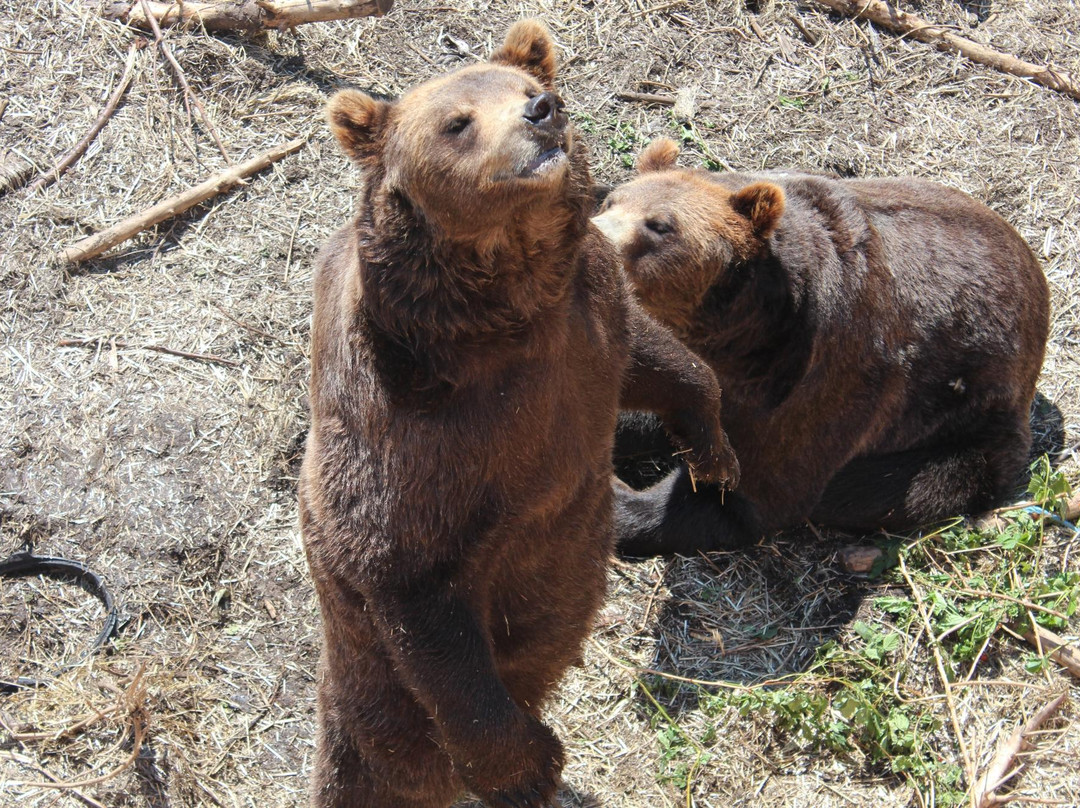 Fortress of the Bear-锡特卡必去景点