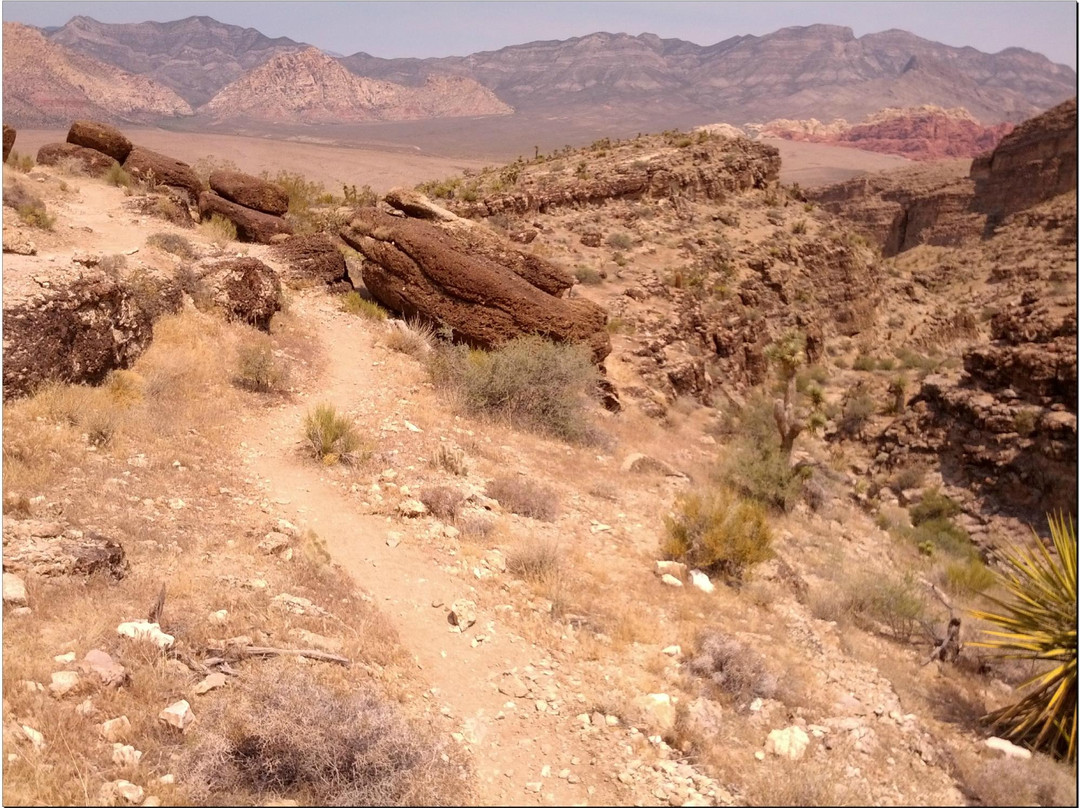 牛仔骑马游-拉斯维加斯必去景点