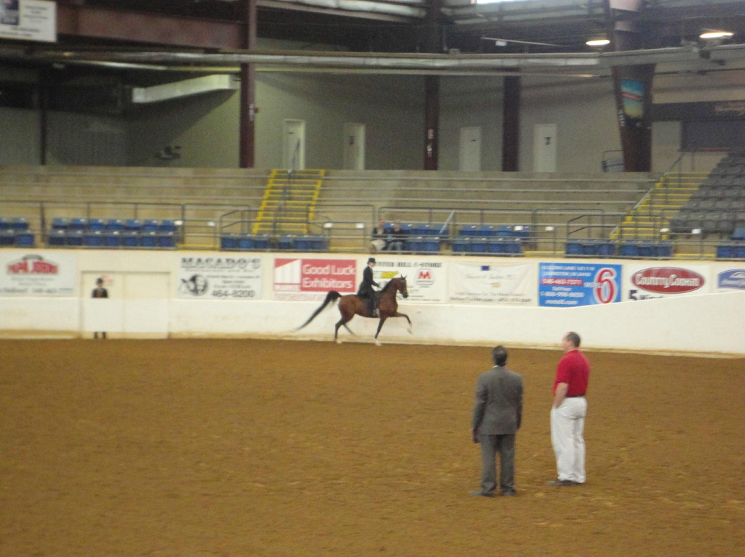 Virginia Horse Center-列克星敦必去景点