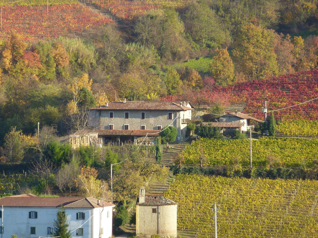 Rocchetta Belbo旅游攻略图片