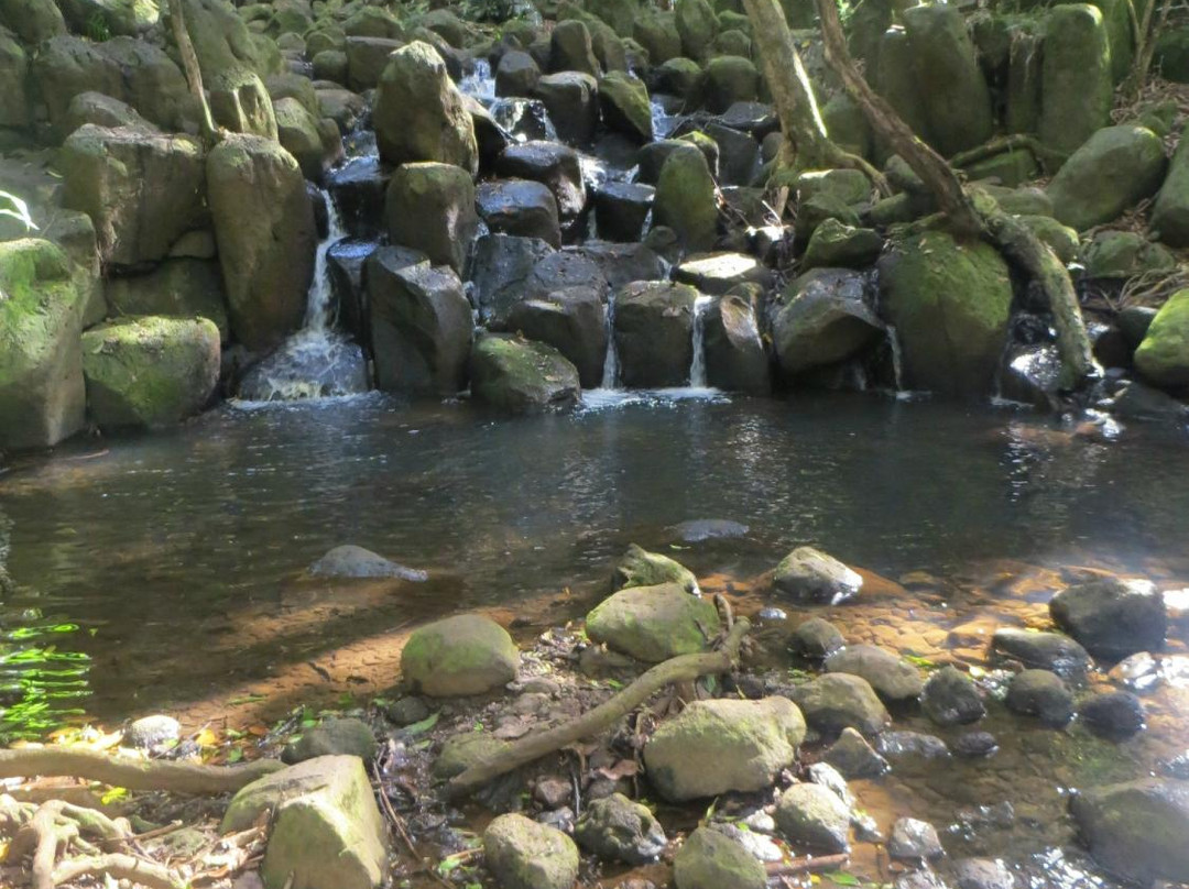 Duke's Kayak Adventures-Wailua必去景点
