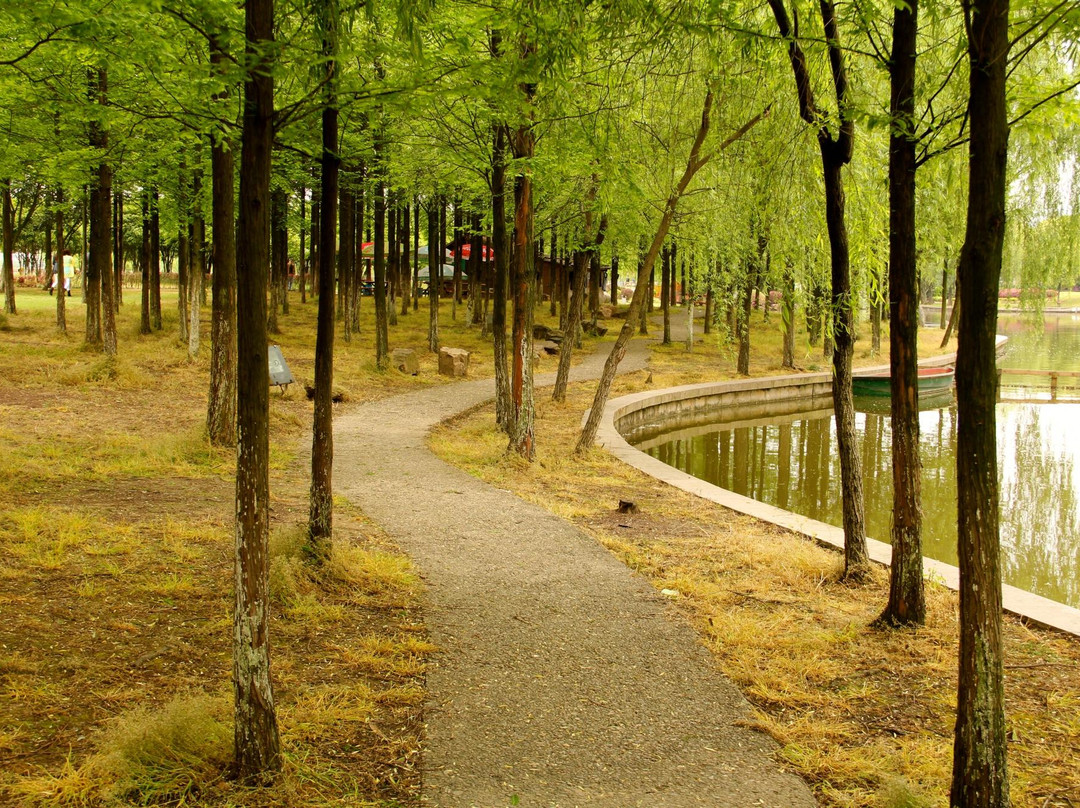 江心屿-温州市必去景点