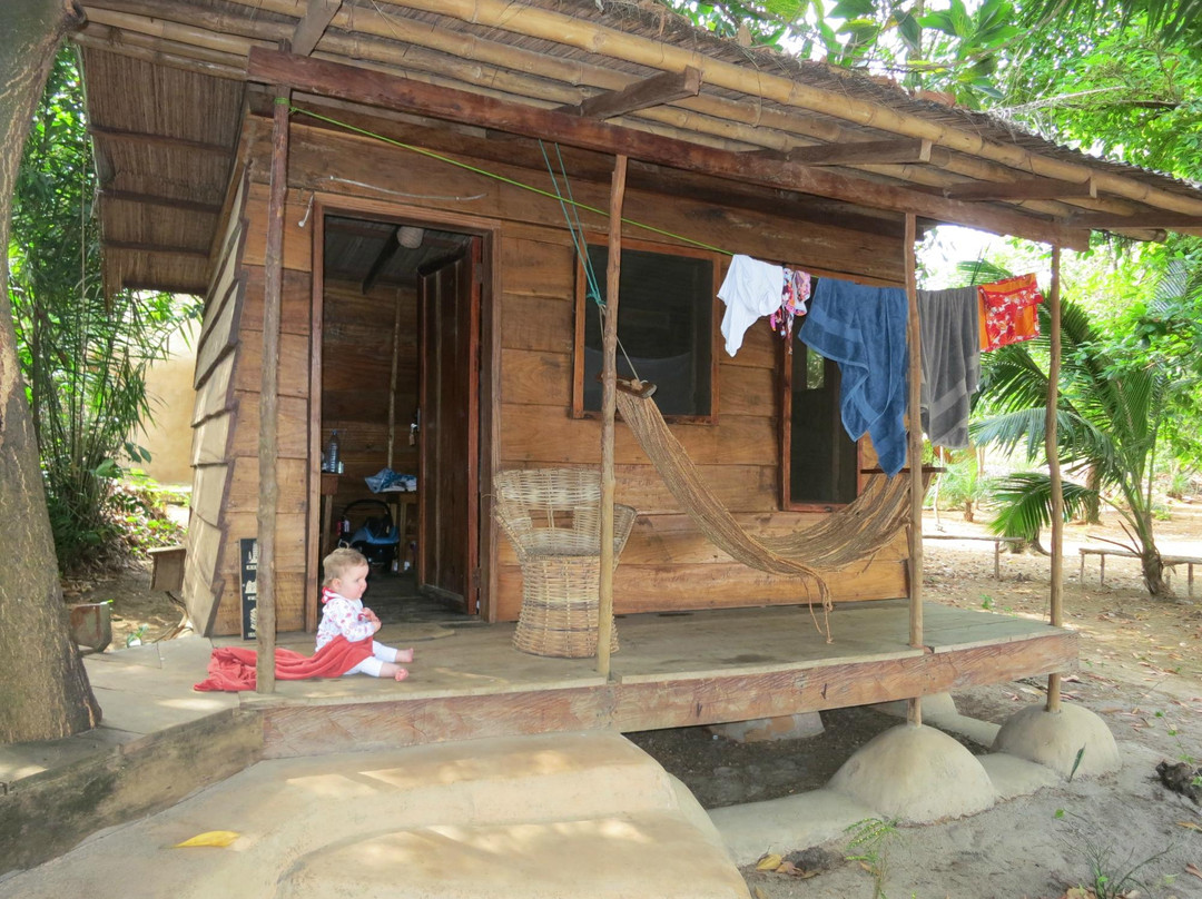 John Obey旅游攻略图片