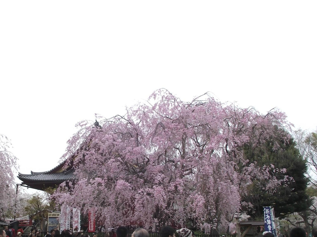 Kiyomizu Kannon-do-Uenokoen必去景点