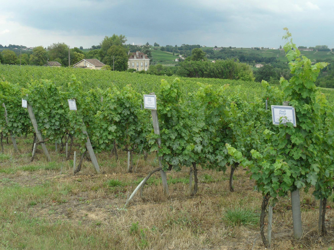 Château Du Broustaret主图