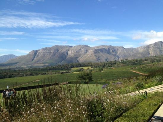 Ernie Els Wines-斯泰伦博斯必去景点