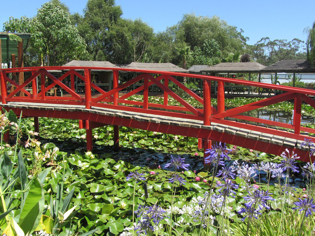 Blue Lotus Water Garden景点图片