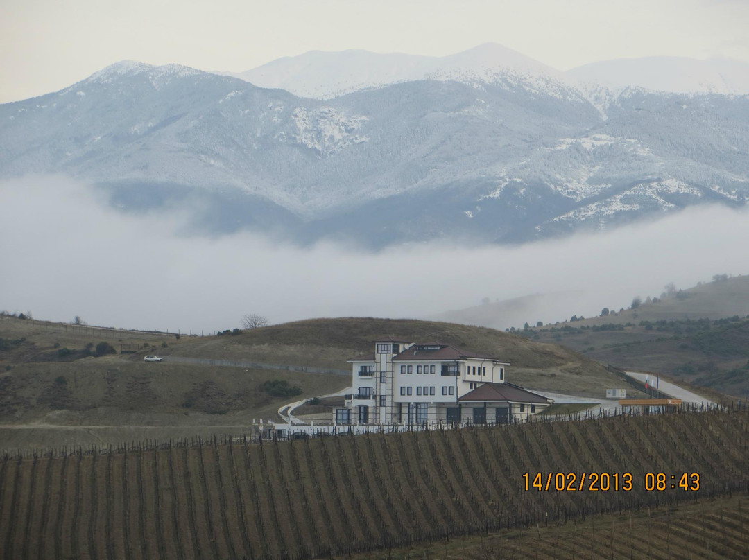 Villa Melnik Winery景点图片