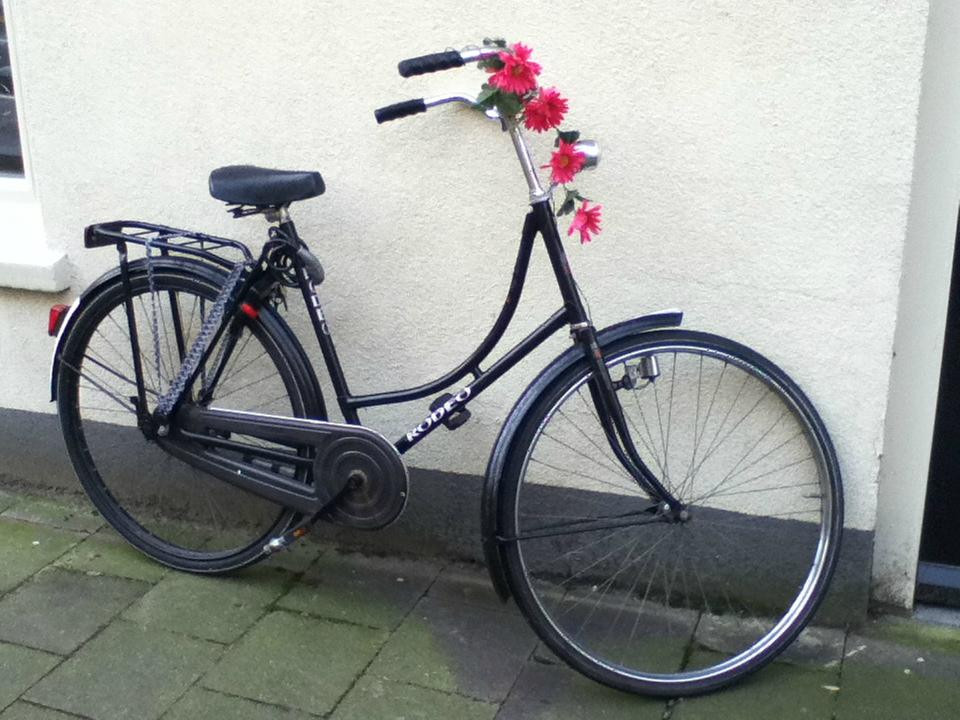 B&B Limes Oudwijk主图