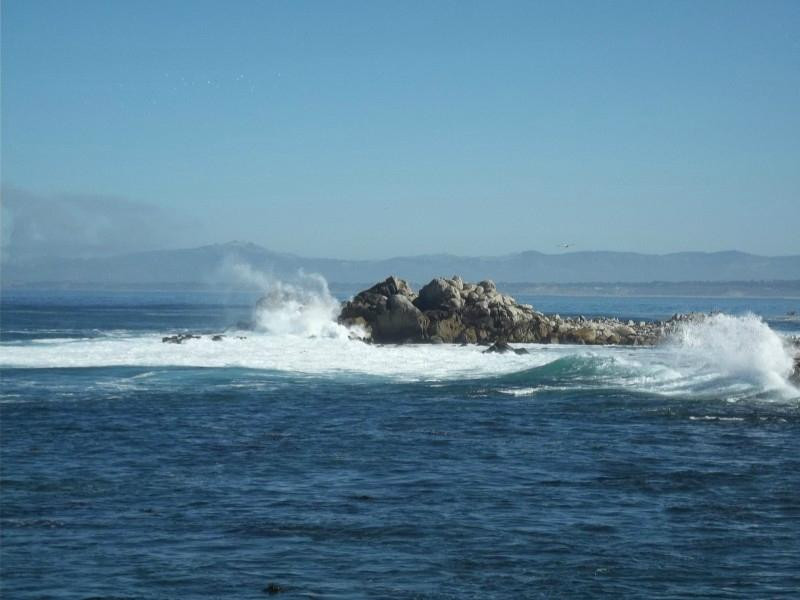 17英里路-蒙特雷必去景点