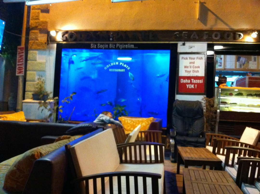 Goldenplate Restaurant & Cafe - Bar主图