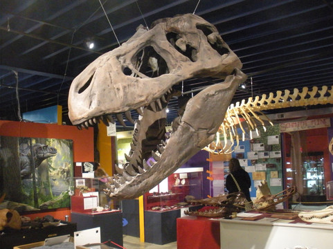 Alaska Museum of Science & Nature-安克雷奇必去景点