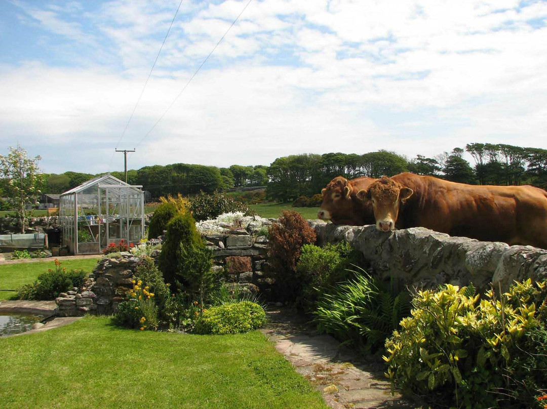 Craiglemine Tigh B & B主图