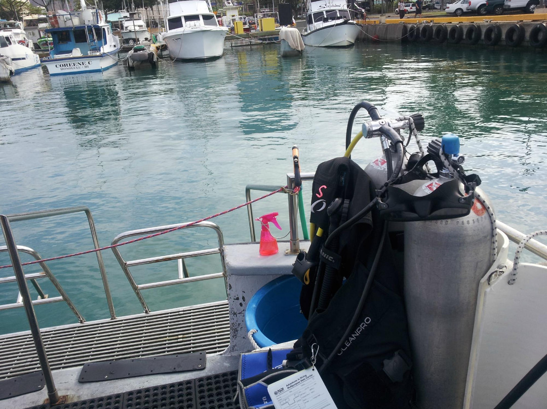 Honolulu Scuba Company-火奴鲁鲁必去景点