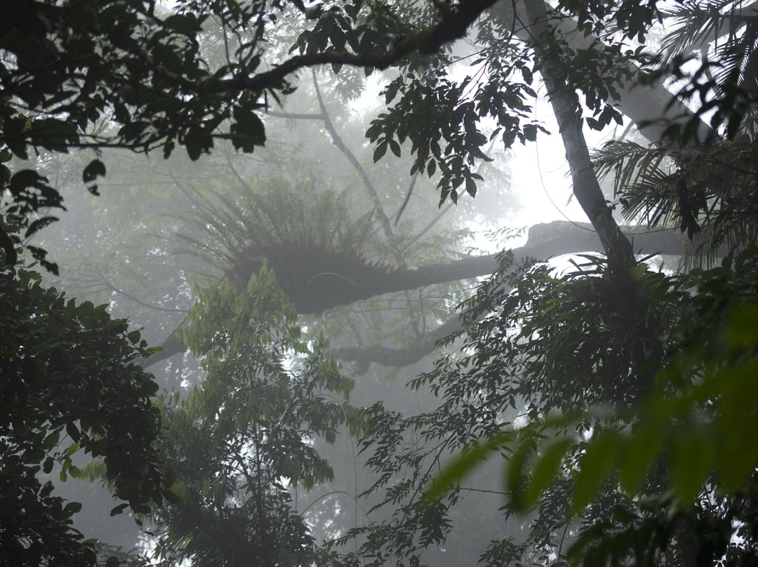 Odyssey Bound-道格拉斯港必去景点