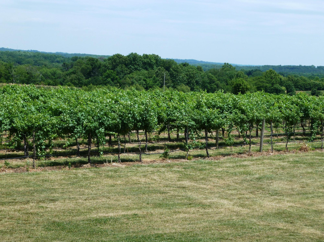 Von Jakob Vineyard Bed and Breakfast主图