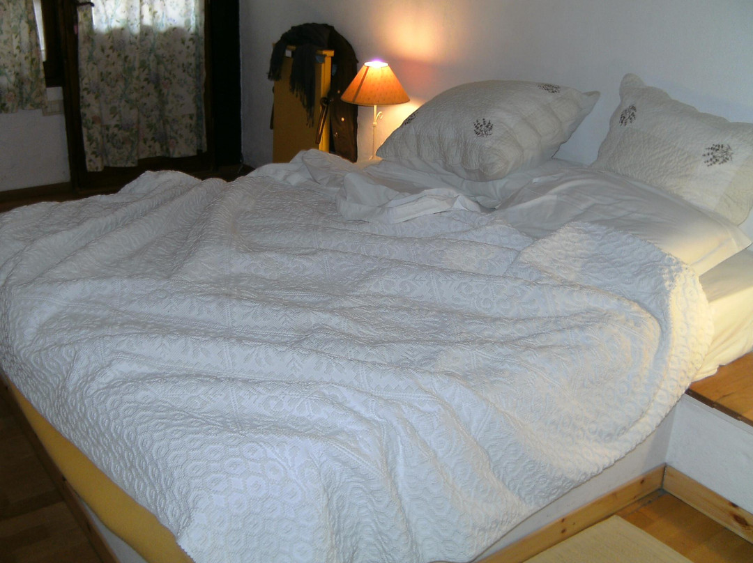 Agriturismo La Vecchia主图