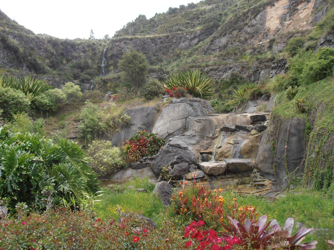 Whangārei Quarry Gardens景点图片