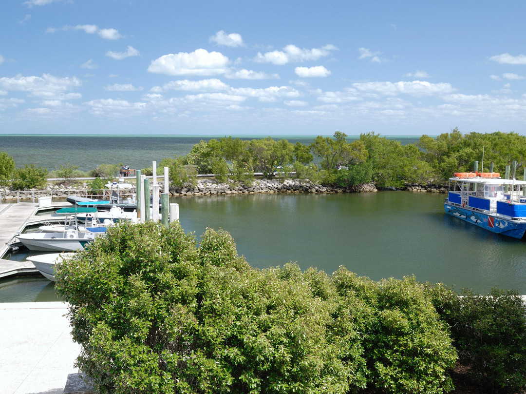 Boca Chita Key-比斯坎国家公园必去景点