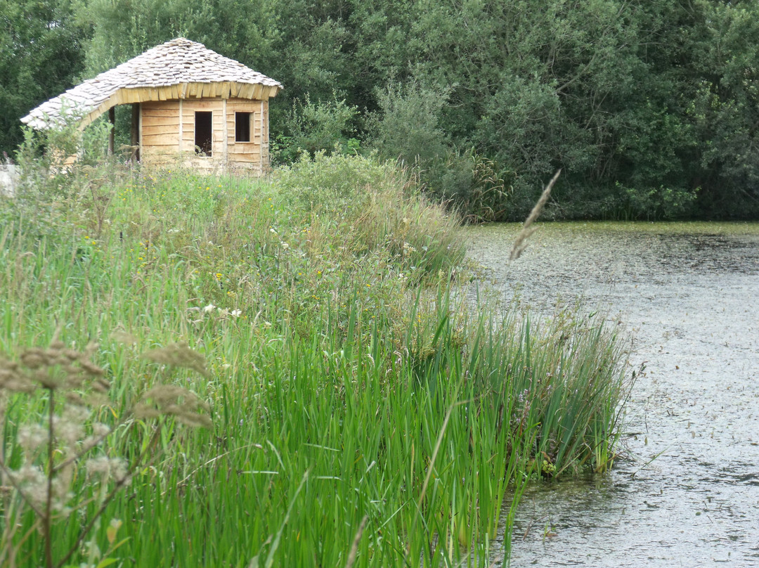 Denmark Farm Conservation Centre-Lampeter必去景点