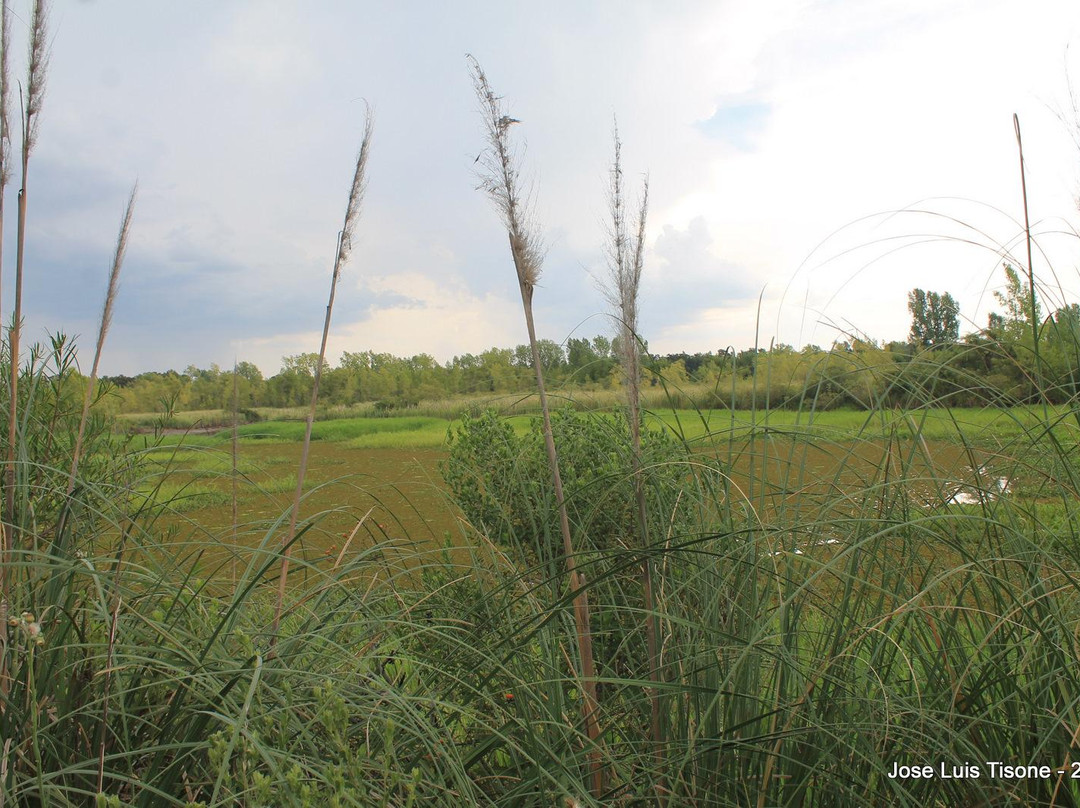 Bonanza Deltaventura, tu estancia en el Delta-蒂格雷必去景点