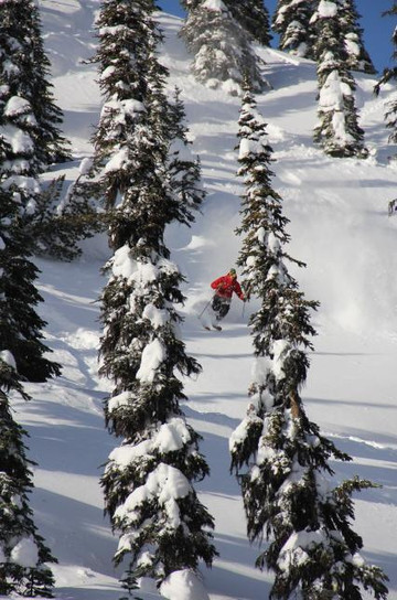 Selkirk Snowcat Skiing-Meadow Creek必去景点