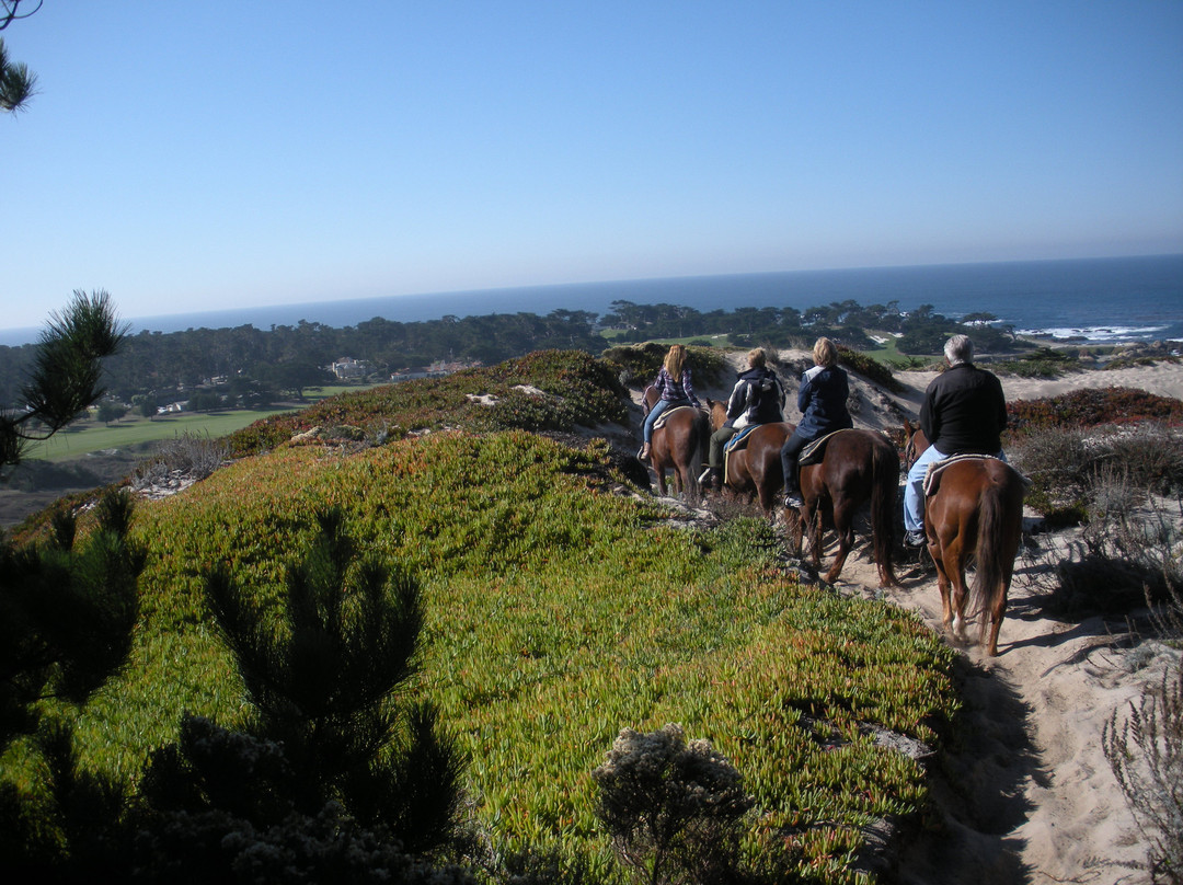 Pebble Beach Equestrian Center-圆石滩必去景点