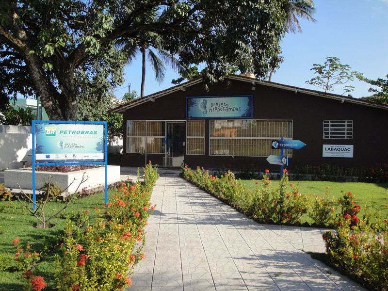 Projeto Hippocampus-嘎林海斯港必去景点