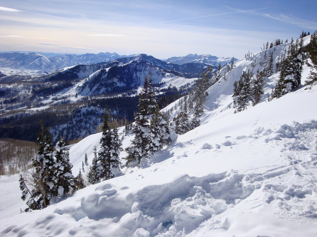 Brighton Resort-布莱敦必去景点