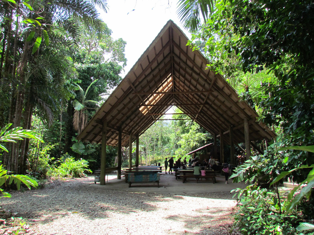 Down Under Tours - Day Tours-凯恩斯必去景点