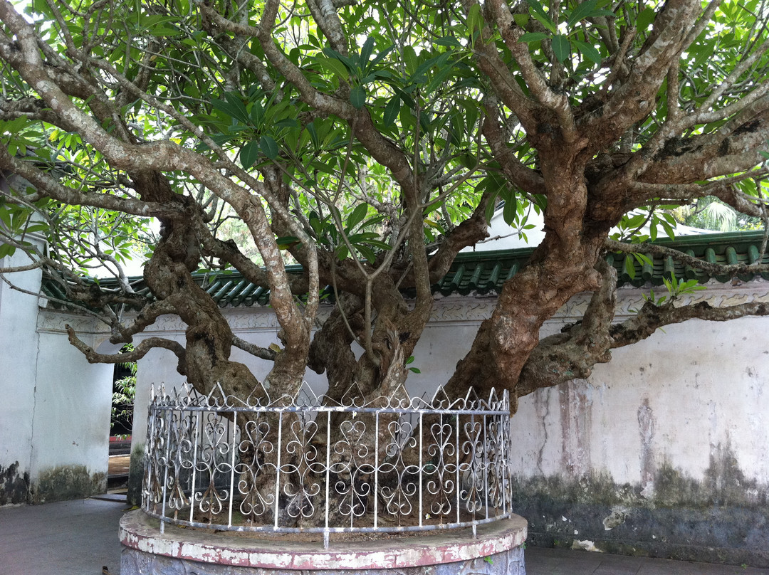 五公祠-海口市必去景点