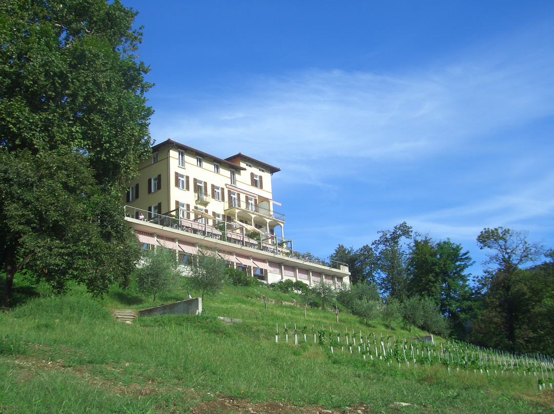Hotel Paladina