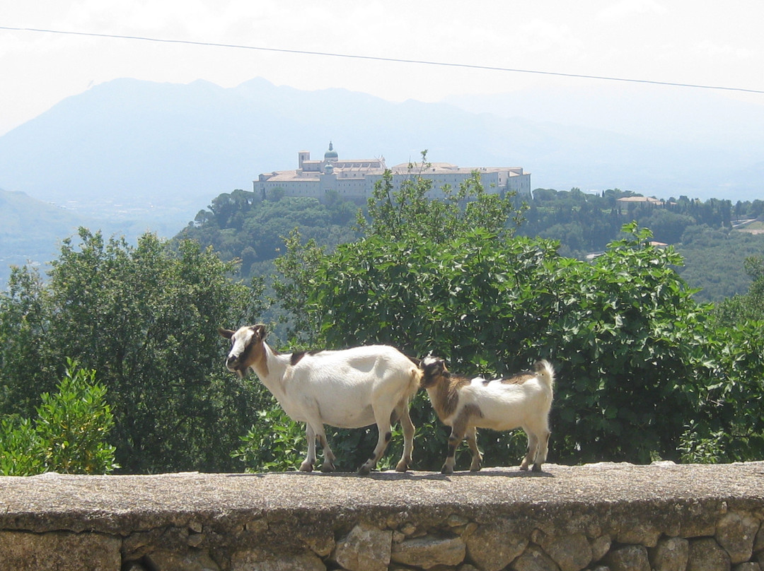 Monte Cassino Battlefield Tours By Dr. Danila Bracaglia-卡西诺必去景点