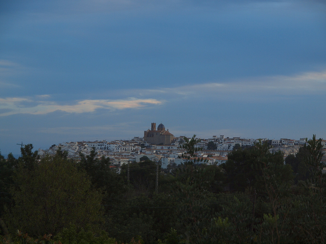 El Pi del Senyoret主图