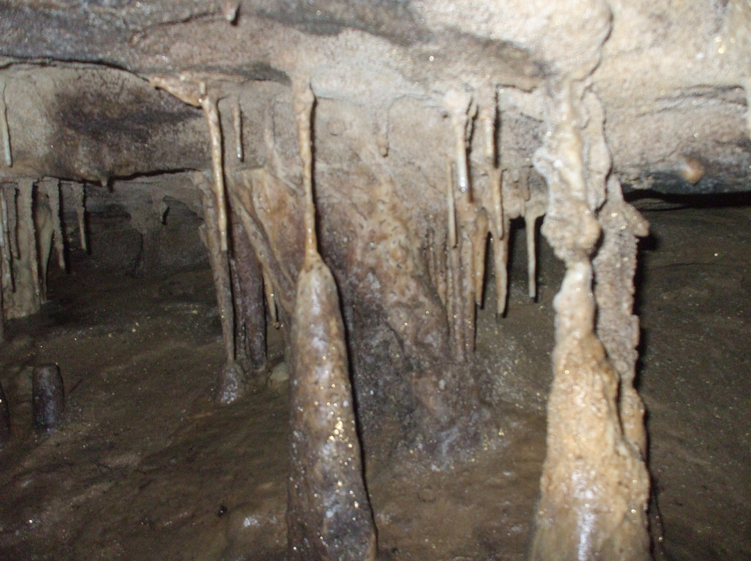 Nikau Cave-Waikaretu必去景点